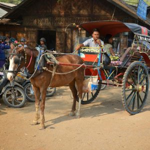 horse-cart-at-bagan