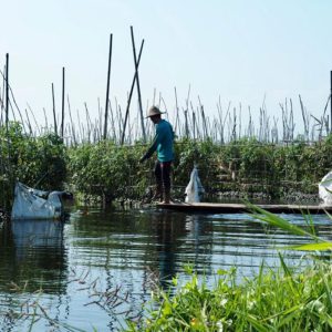 villagers' floating gardens