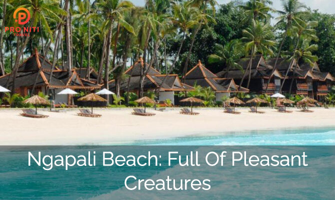 Ngapali Beach full with Pleasant Creatures