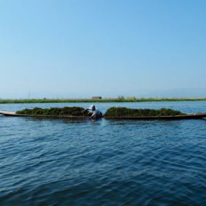 picking up muds and weeds from the deepest parts of lake