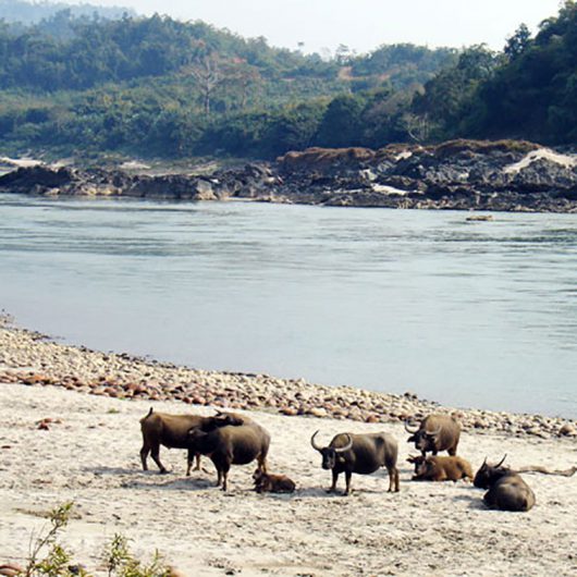 Myitkyina-Myanmar