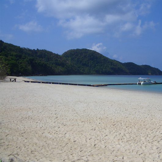 ngapli1