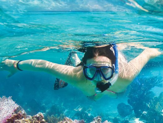 Wa-Ale-activities-snorkelling-02