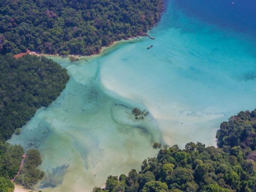 Wa-Ale-mangrove-beach-05