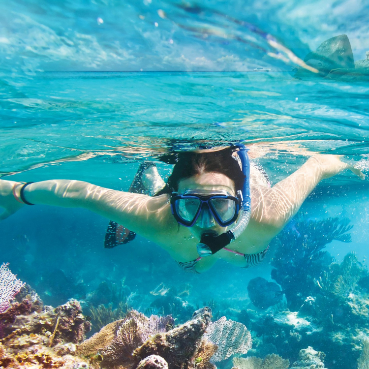 Snorkeling at Wa Ale Resort, Kawthaung