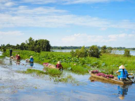 Mekong Delta, Vietnam