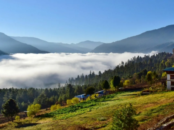 Phobjikha Valley