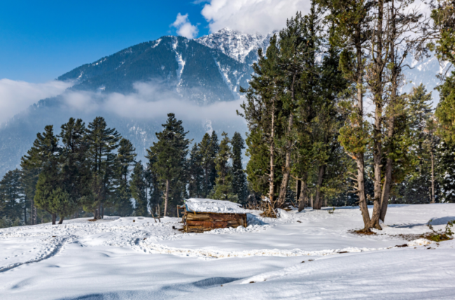 Mystical Kashmir & Imperial Delhi Exploration in 6 Days by Myanmar Travel Agency