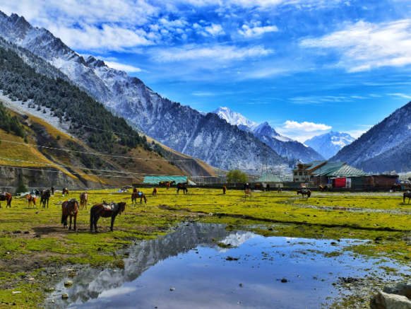 Kashmir
