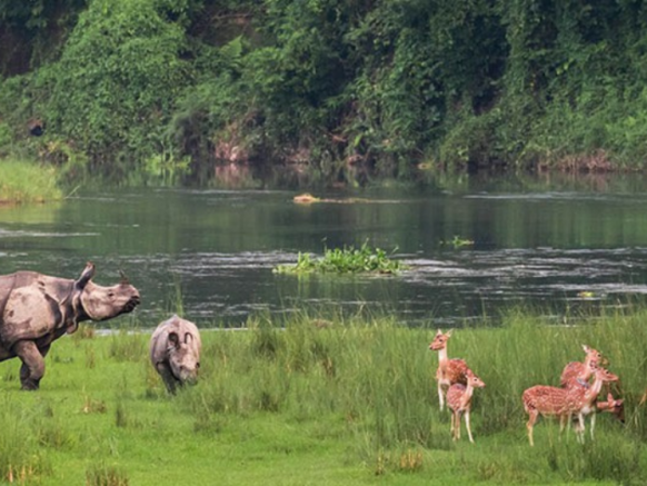 Chitwan National Park