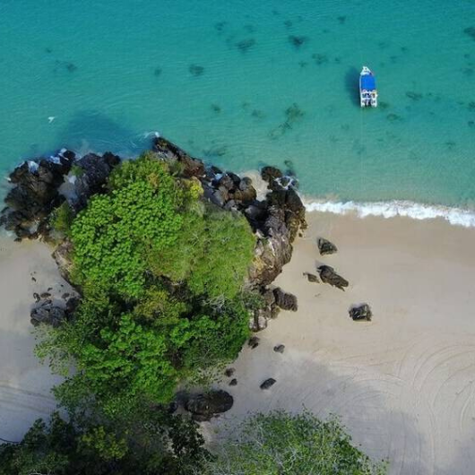 Untitled design (18)